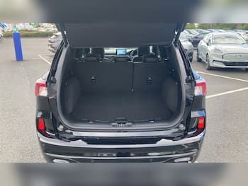 Used Ford Kuga 2023 for sale - 79746618: Photo