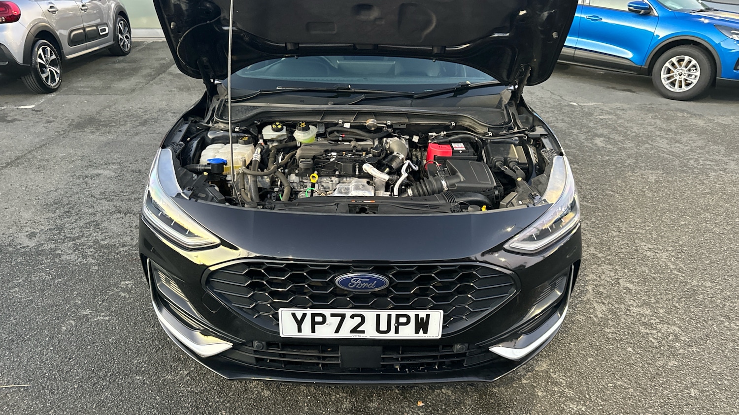 Used Ford Focus 2022 for sale - 77011881: Photo 13