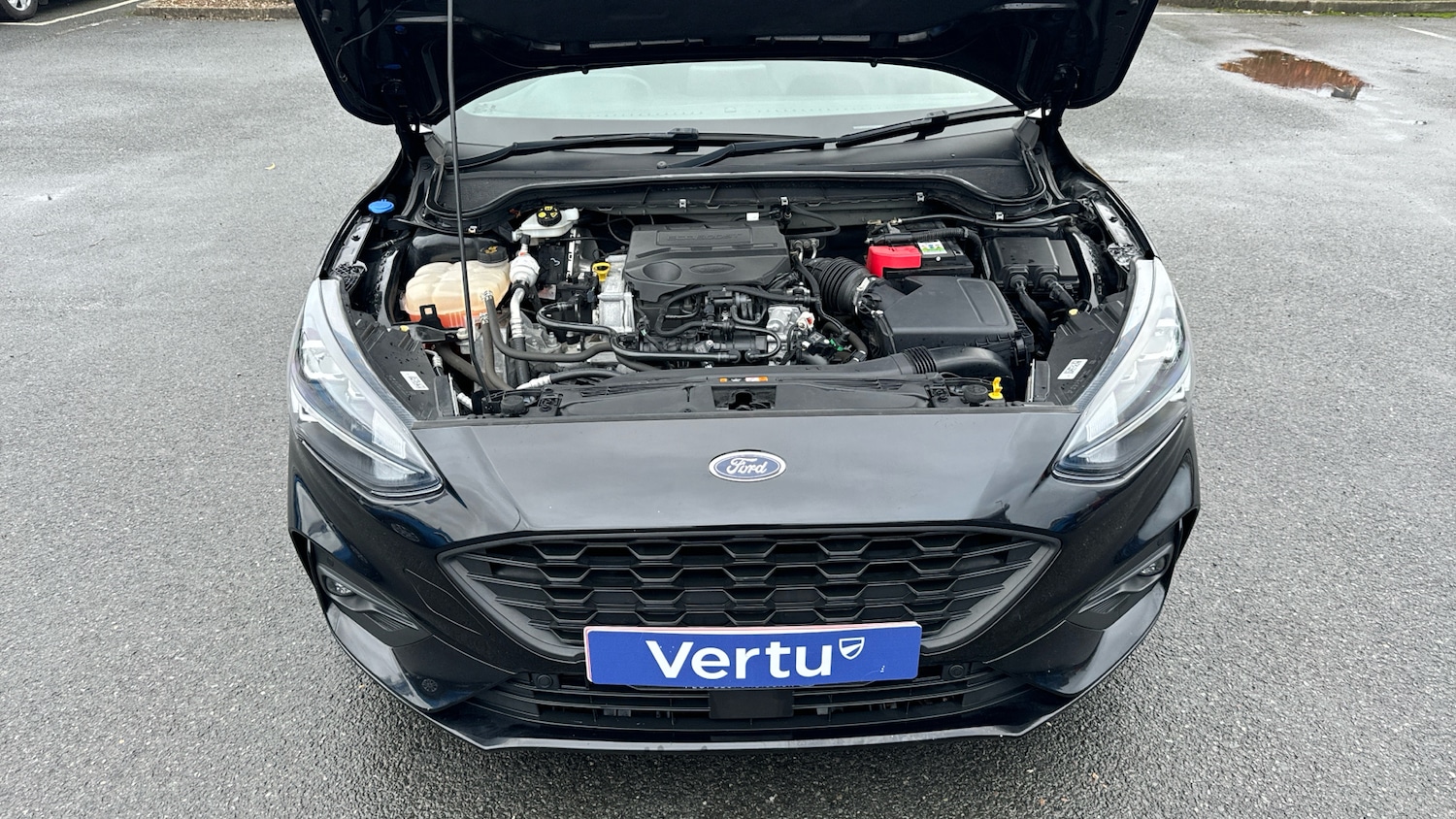 Used Ford Focus 2020 for sale - 77045574: Photo 13