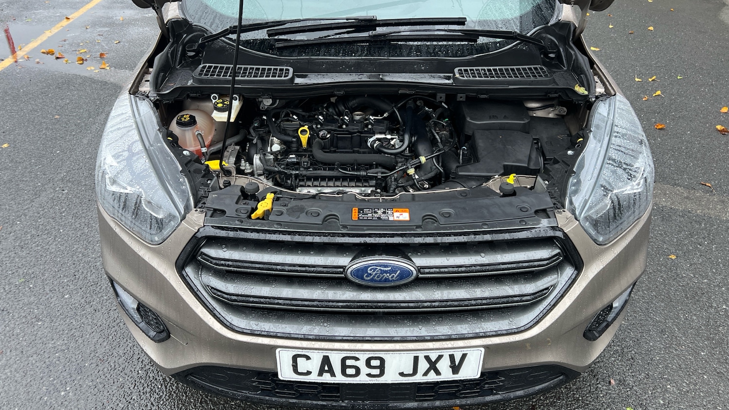 Used Ford Kuga 2019 for sale - 76588512: Photo 8