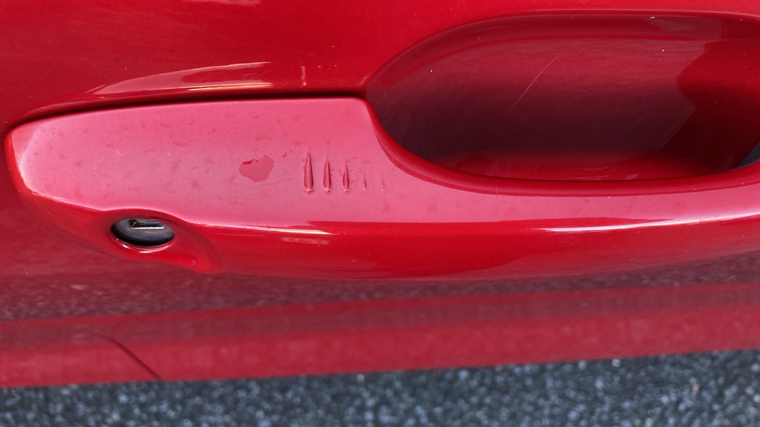 Used Ford Focus 2021 for sale - 76707155: Photo 28