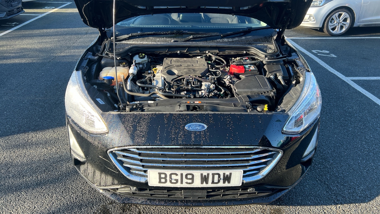 Used Ford Focus 2019 for sale - 77562453: Photo 14