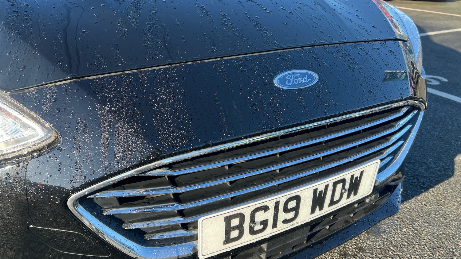 Used Ford Focus 2019 for sale - 77562453: Photo 25