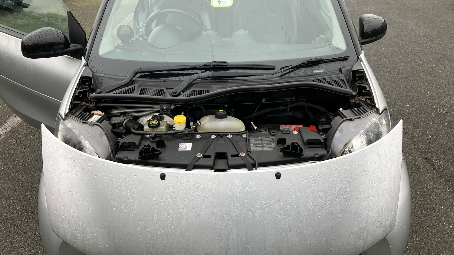 Used smart fortwo 2016 for sale - 77377927: Photo 13