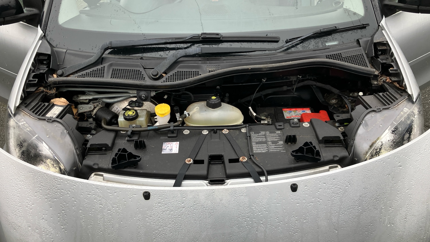 Used smart fortwo 2016 for sale - 77377927: Photo 17