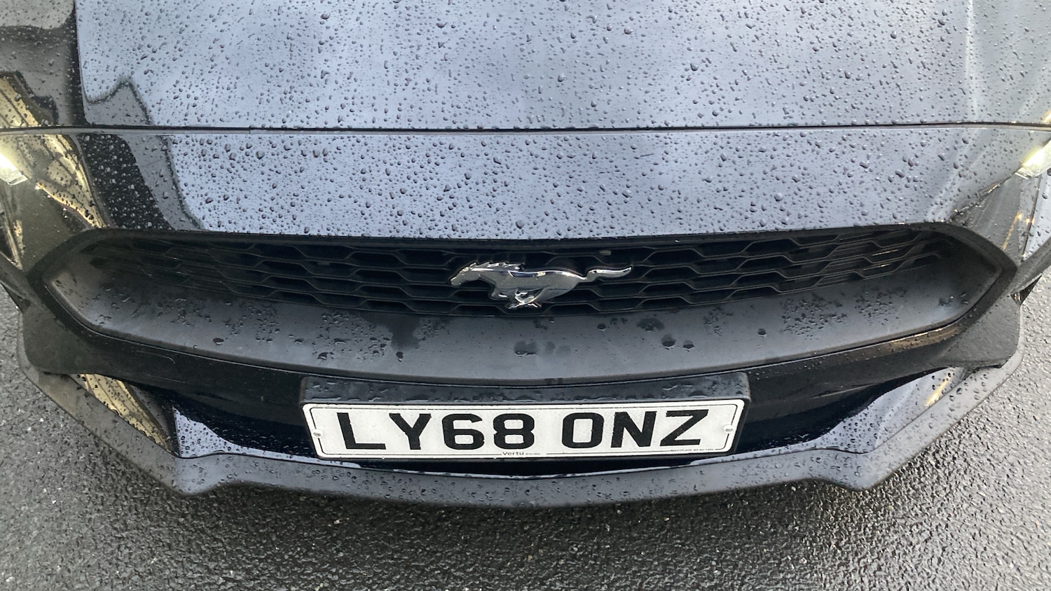 Used Ford Mustang 2018 for sale - 76566184: Photo 23