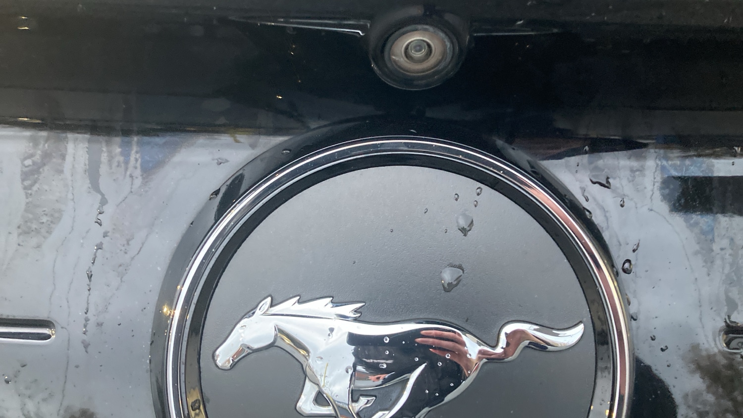 Used Ford Mustang 2018 for sale - 76566184: Photo 28