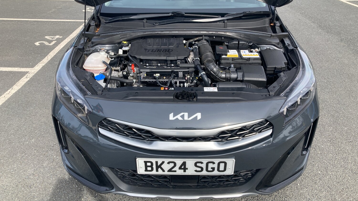 Used Kia XCeed 2024 for sale - 78199409: Photo 13