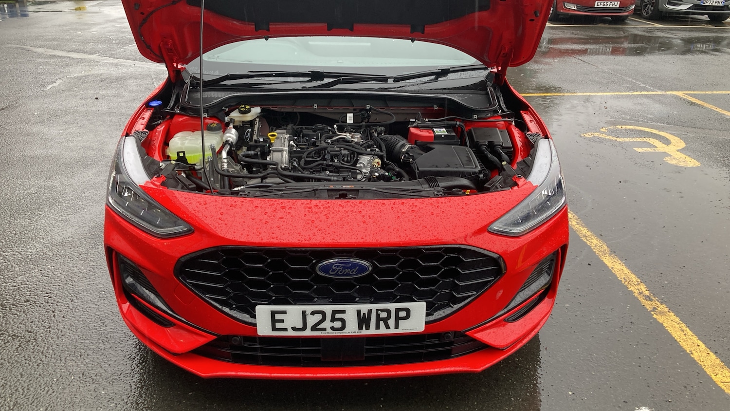 Used Ford Focus 2025 for sale - 77235368: Photo 13