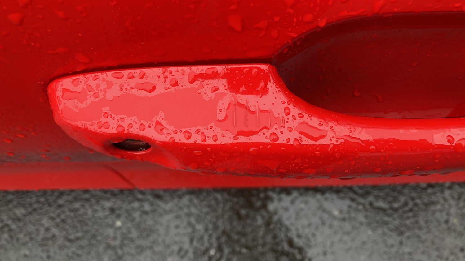 Used Ford Focus 2025 for sale - 77235368: Photo 29