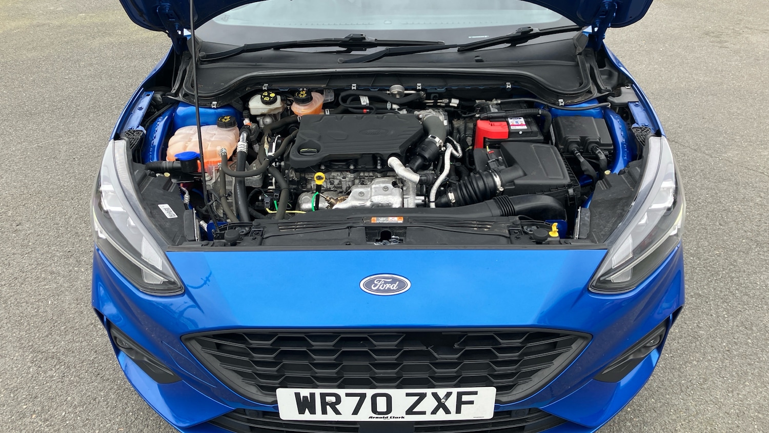 Used Ford Focus 2020 for sale - 77605131: Photo 11