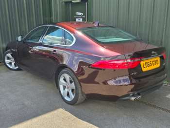 Used Jaguar XF 2015 for sale - 75264614: Photo