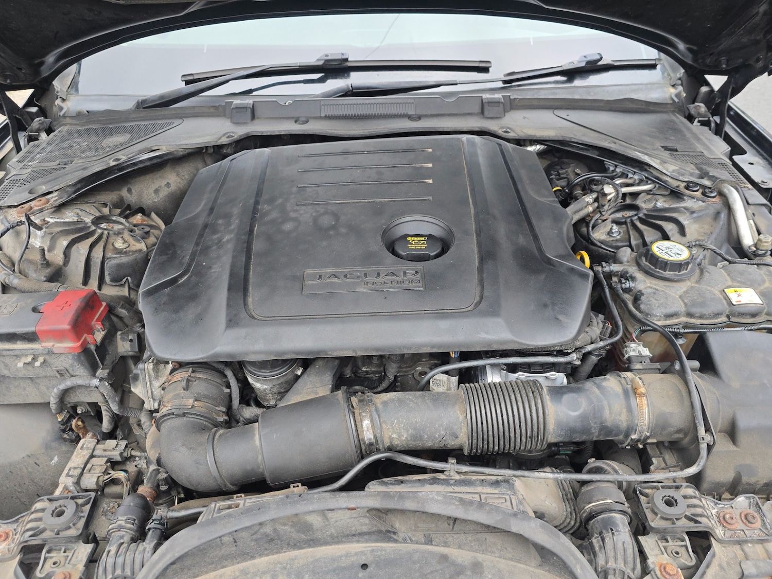 Used Jaguar XF 2016 for sale - 75981573: Photo 19