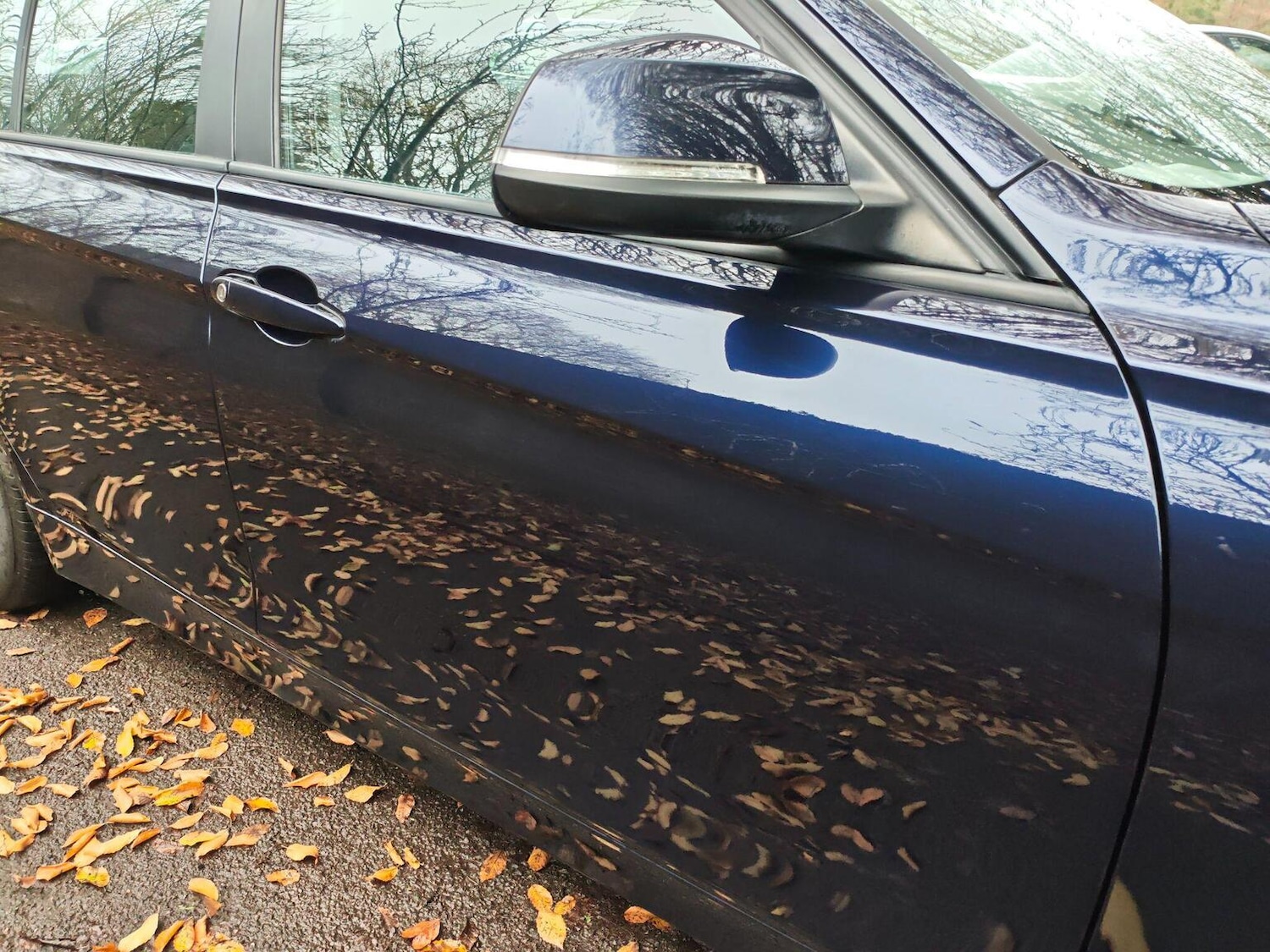 Used BMW 3 Series 2013 for sale - 76734814: Photo 22