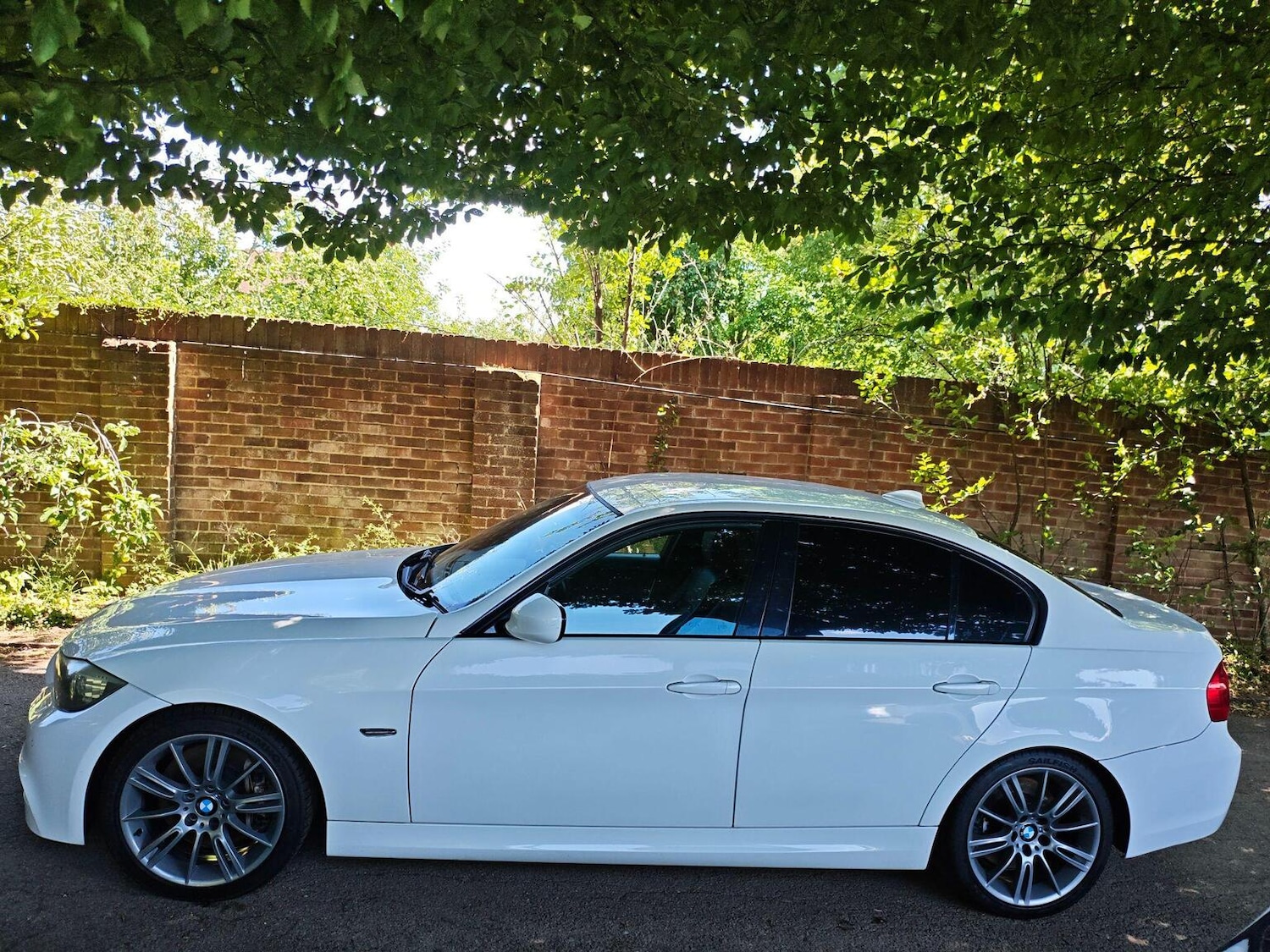 Used BMW 3 Series 2009 for sale - 76692816: Photo 6