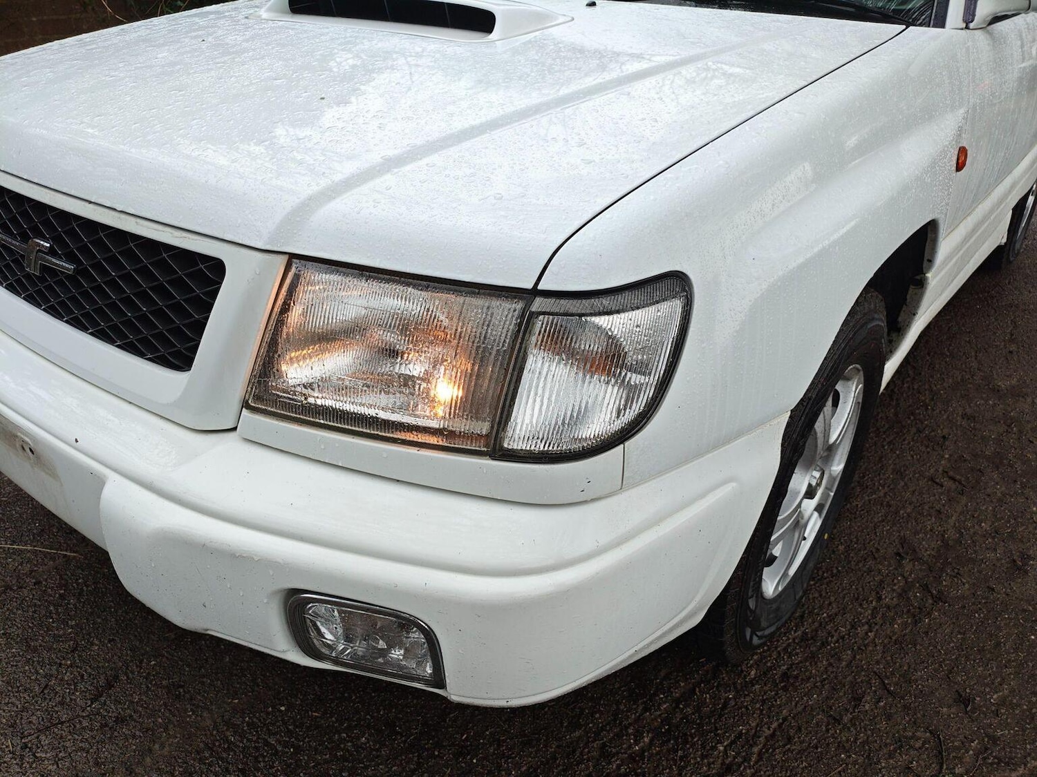 Used Subaru Forester 1998 for sale - 77603427: Photo 22
