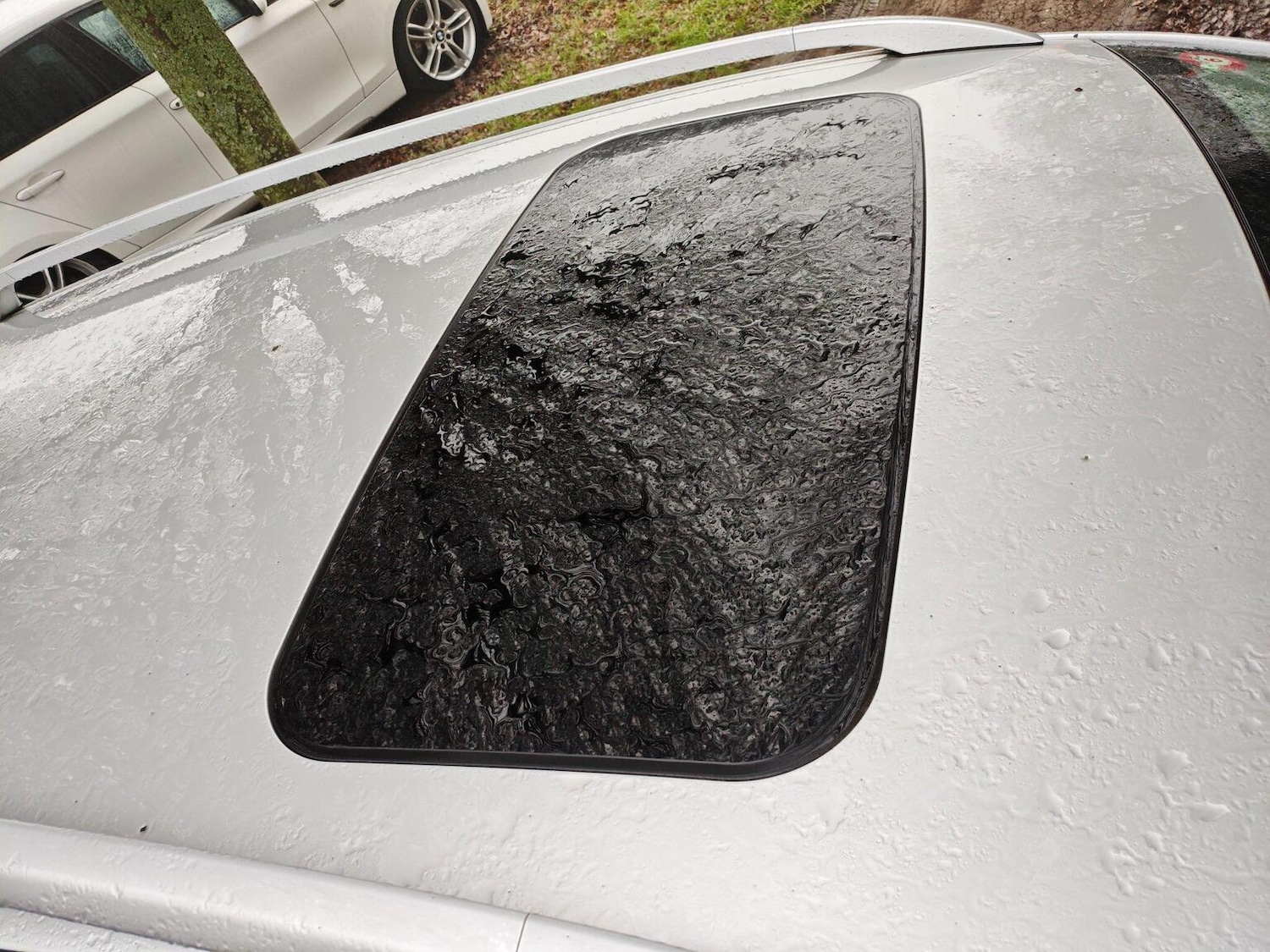 Used Volvo V50 2012 for sale - 77167826: Photo 31