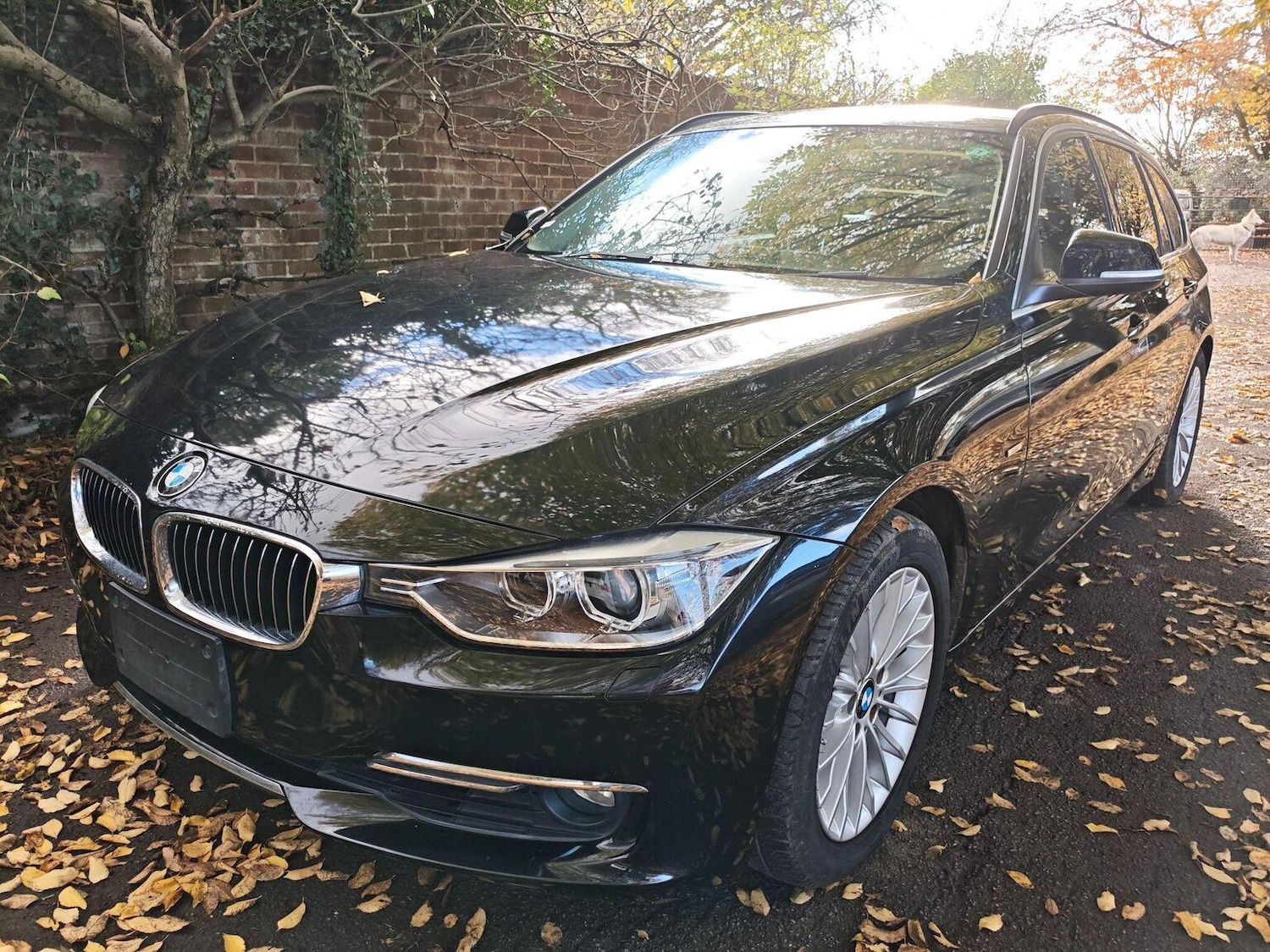 Used BMW 3 Series 2013 for sale - 76638031: Photo 3