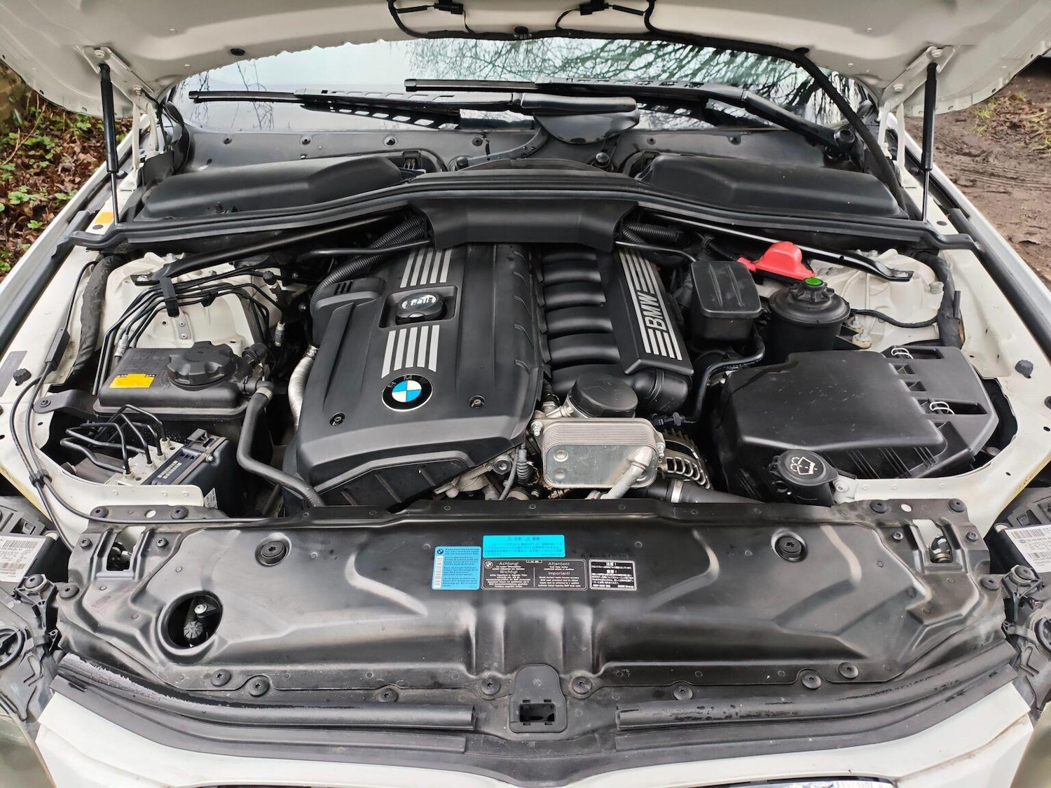 Used BMW 5 Series 2009 for sale - 77282745: Photo 19