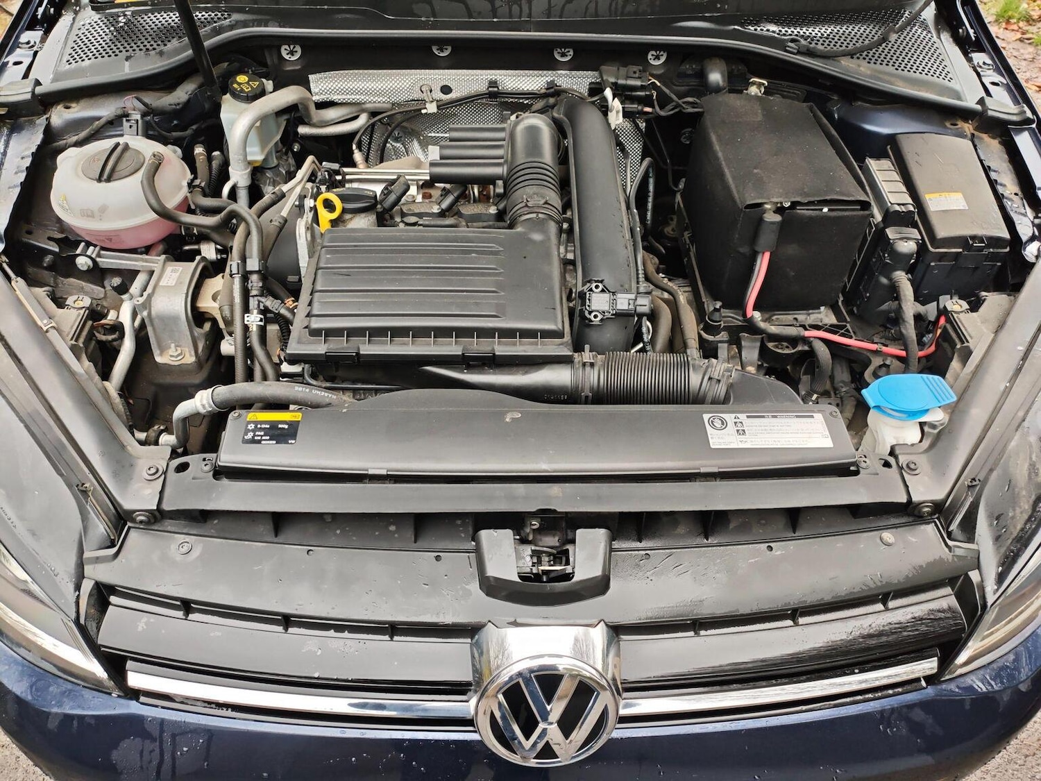 Used Volkswagen Golf 2015 for sale - 76772648: Photo 13