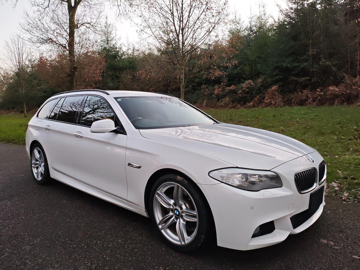 Used BMW 5 Series 2013 for sale - 77011751: Photo 6