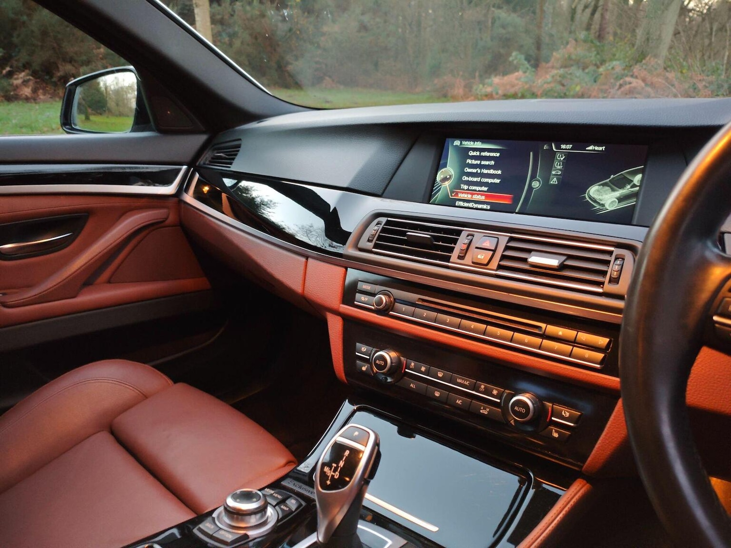 Used BMW 5 Series 2013 for sale - 77011751: Photo 9