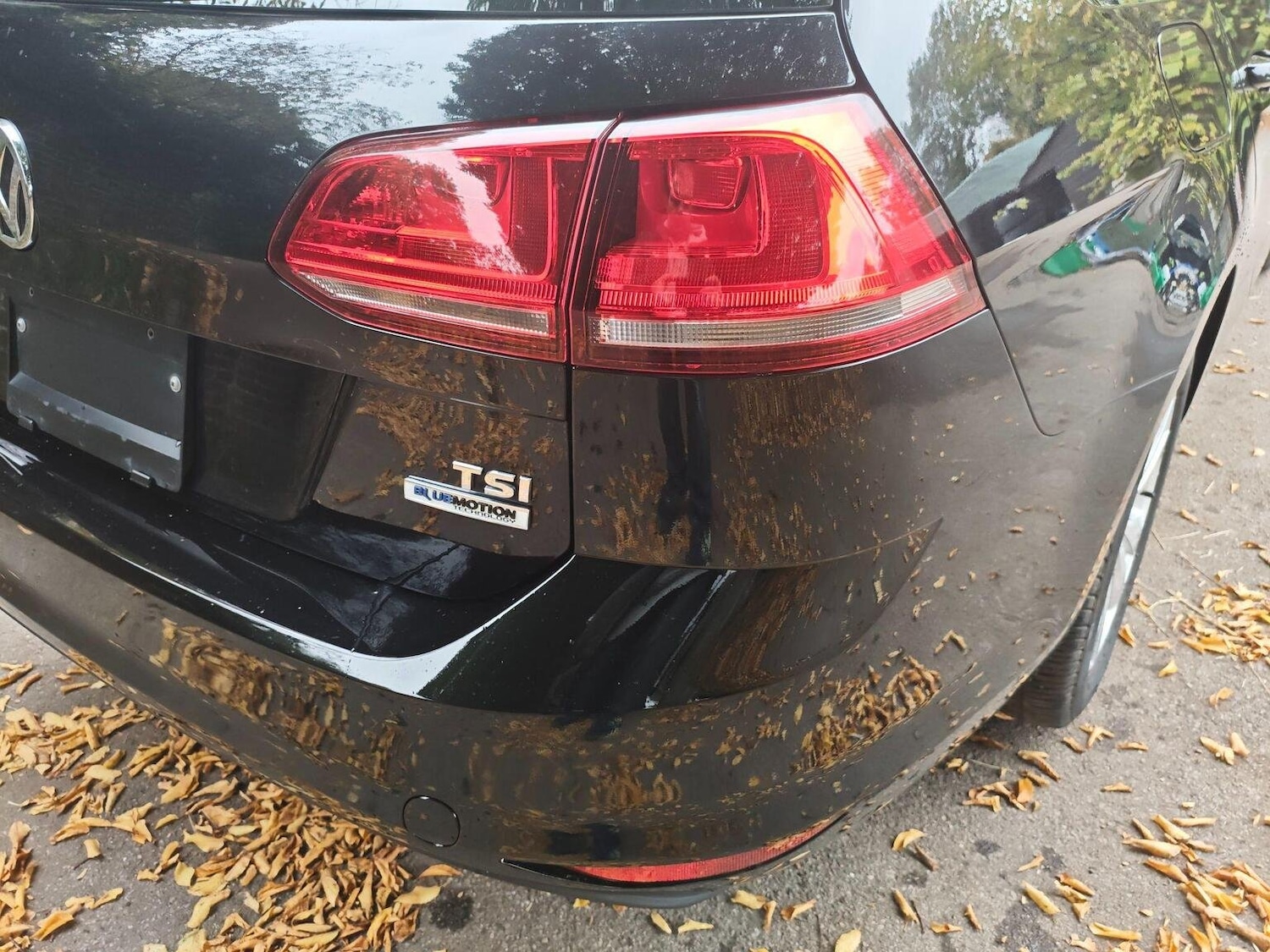 Used Volkswagen Golf 2014 for sale - 76638029: Photo 36