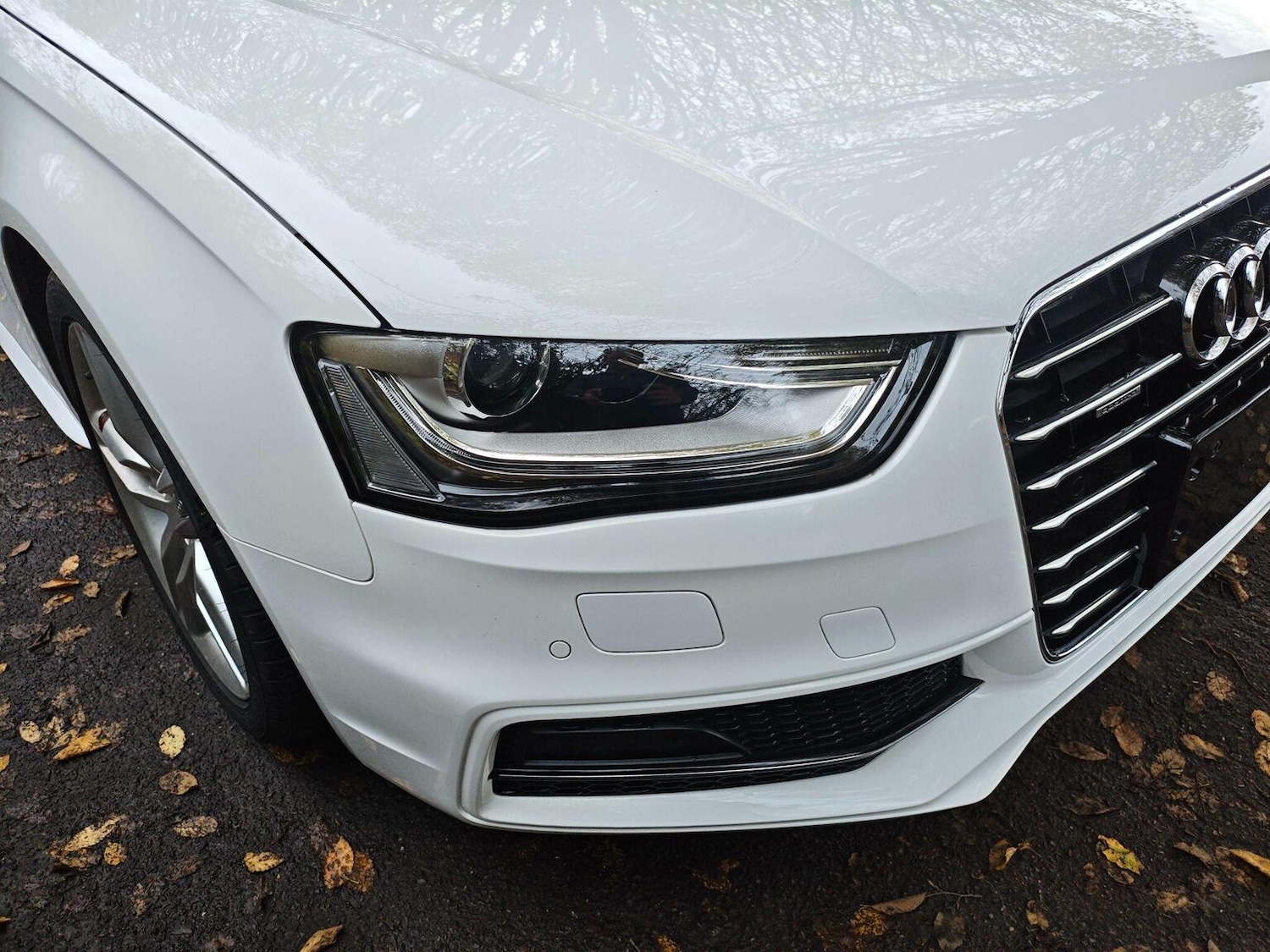 Used Audi A4 Avant 2013 for sale - 76638034: Photo 20