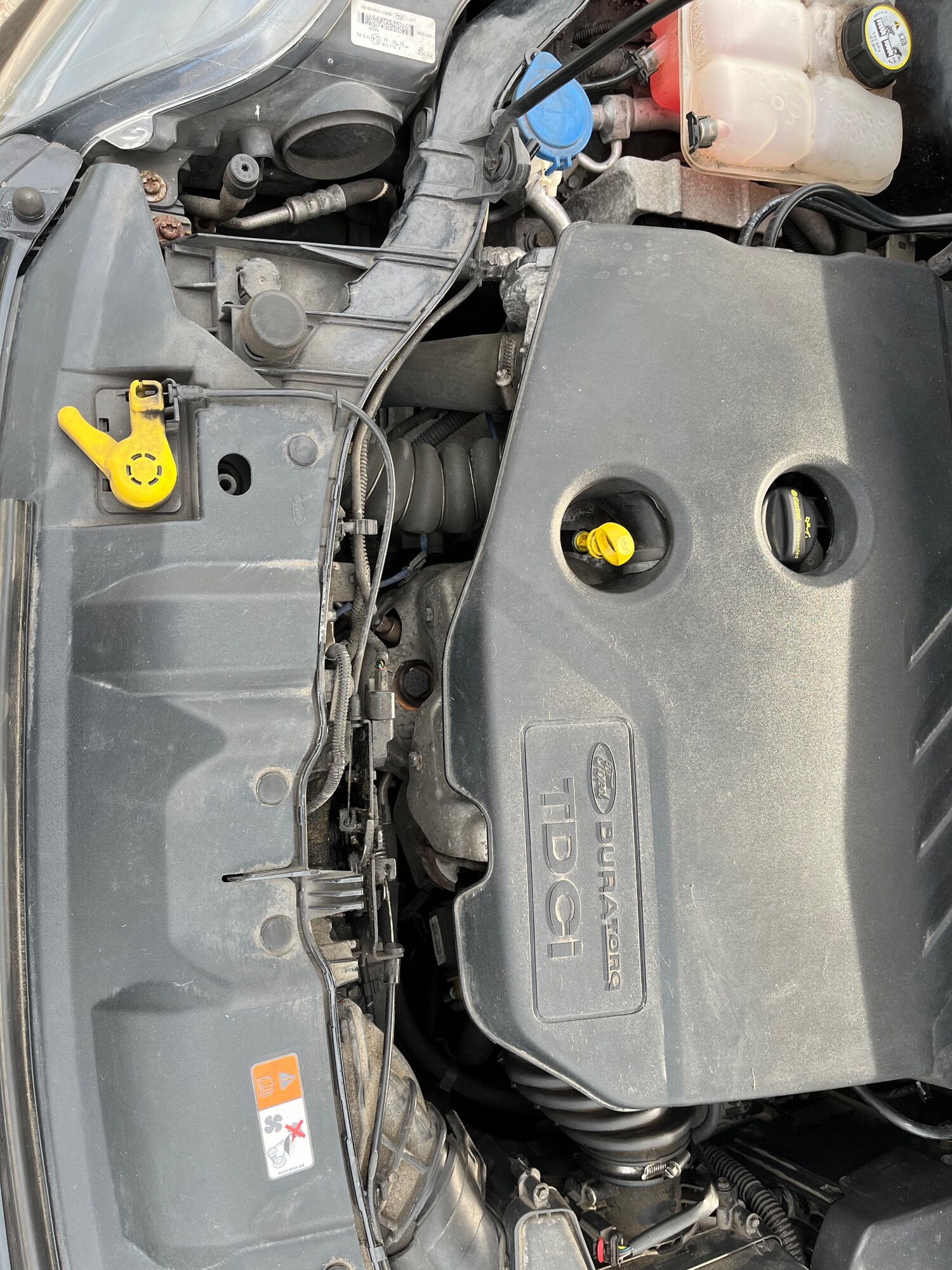 Used Ford Focus 2013 for sale - 78009279: Photo 21