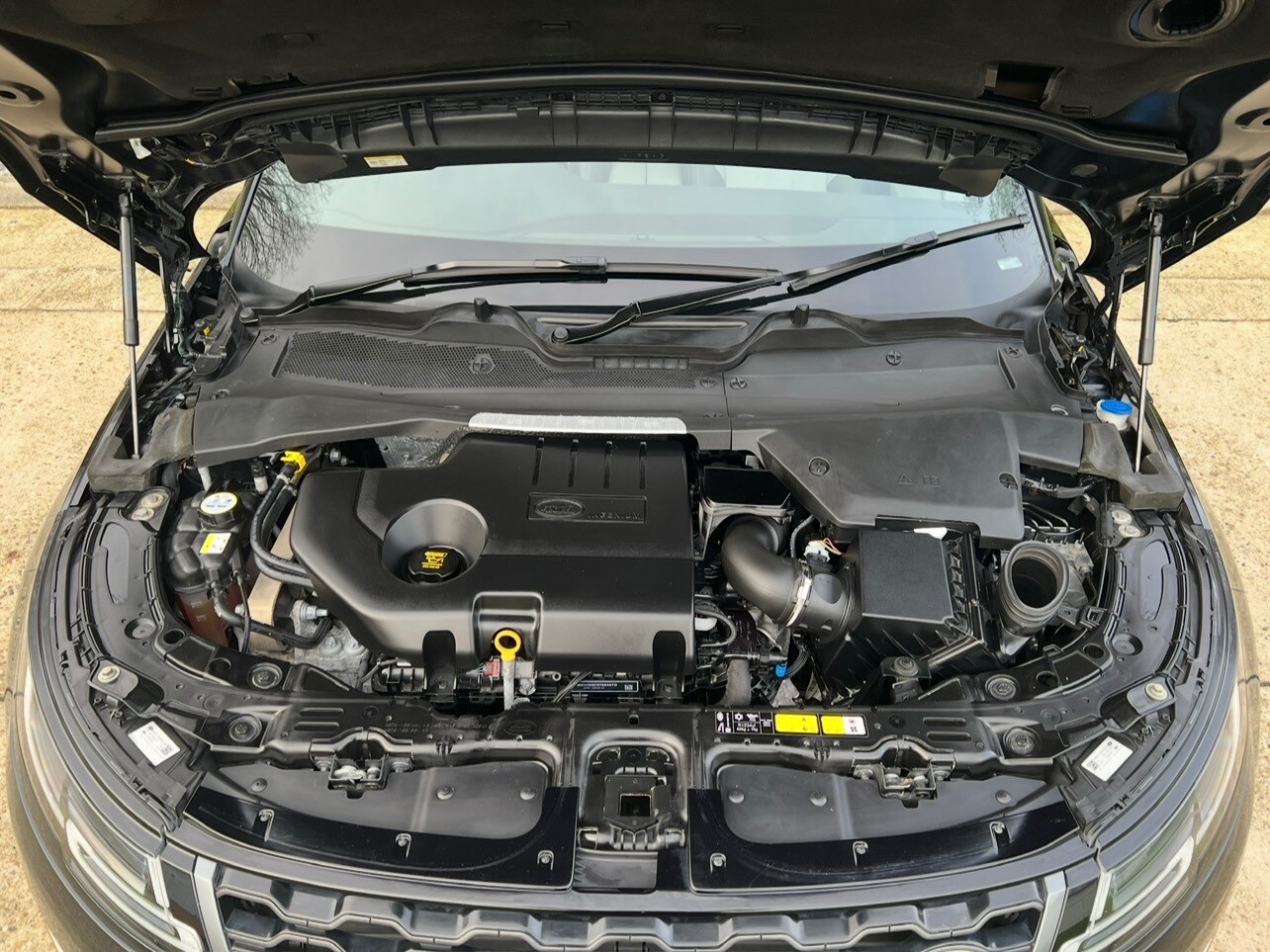 Used Land Rover Range Rover Evoque for sale - 78103549: Photo 10