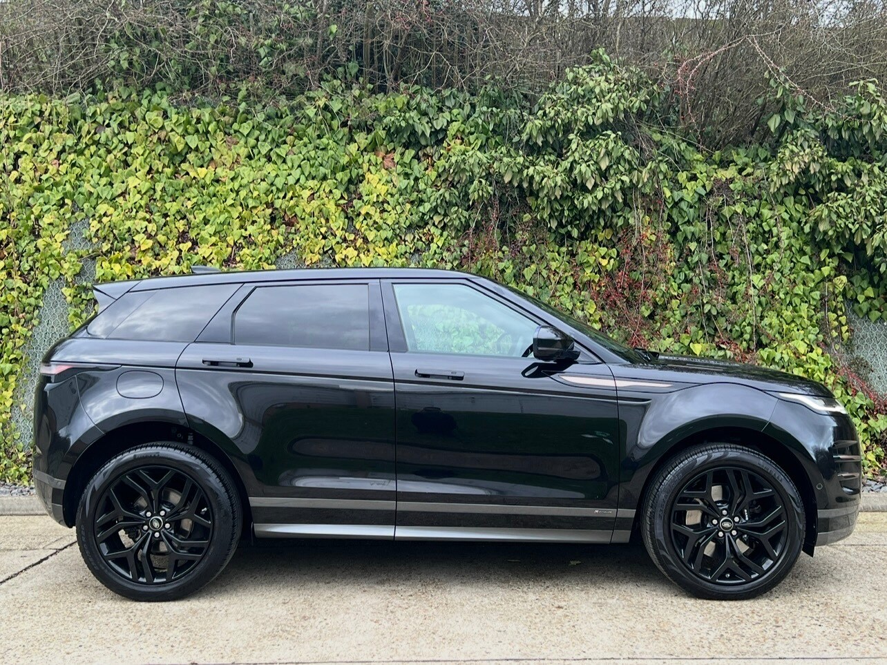 Used Land Rover Range Rover Evoque for sale - 78103549: Photo 6