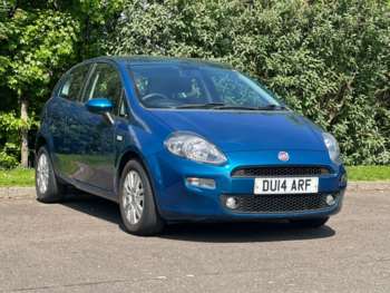 Used Fiat Punto 2014 for sale - 74993677: Photo