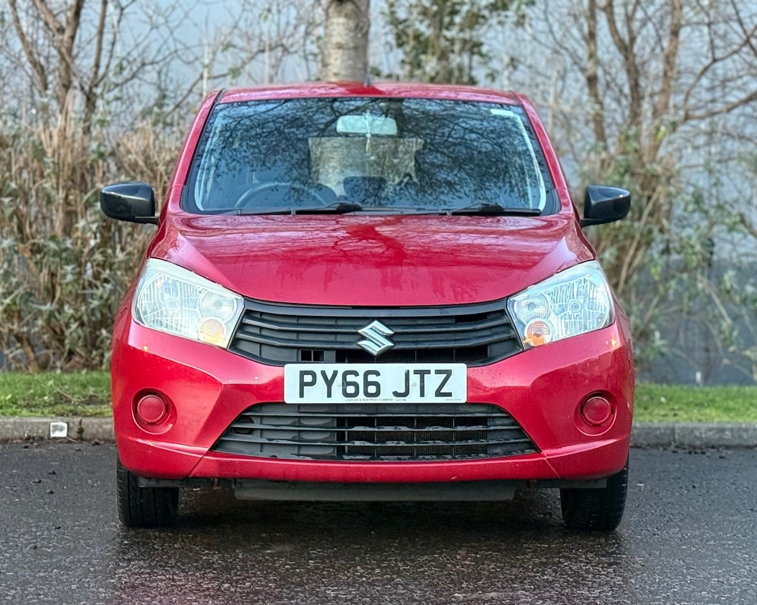 Used Suzuki Celerio 2017 for sale - 77014713: Photo 2