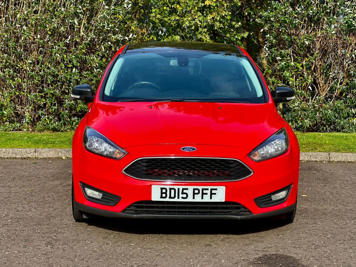Used Ford Focus 2015 for sale - 76177460: Photo 3