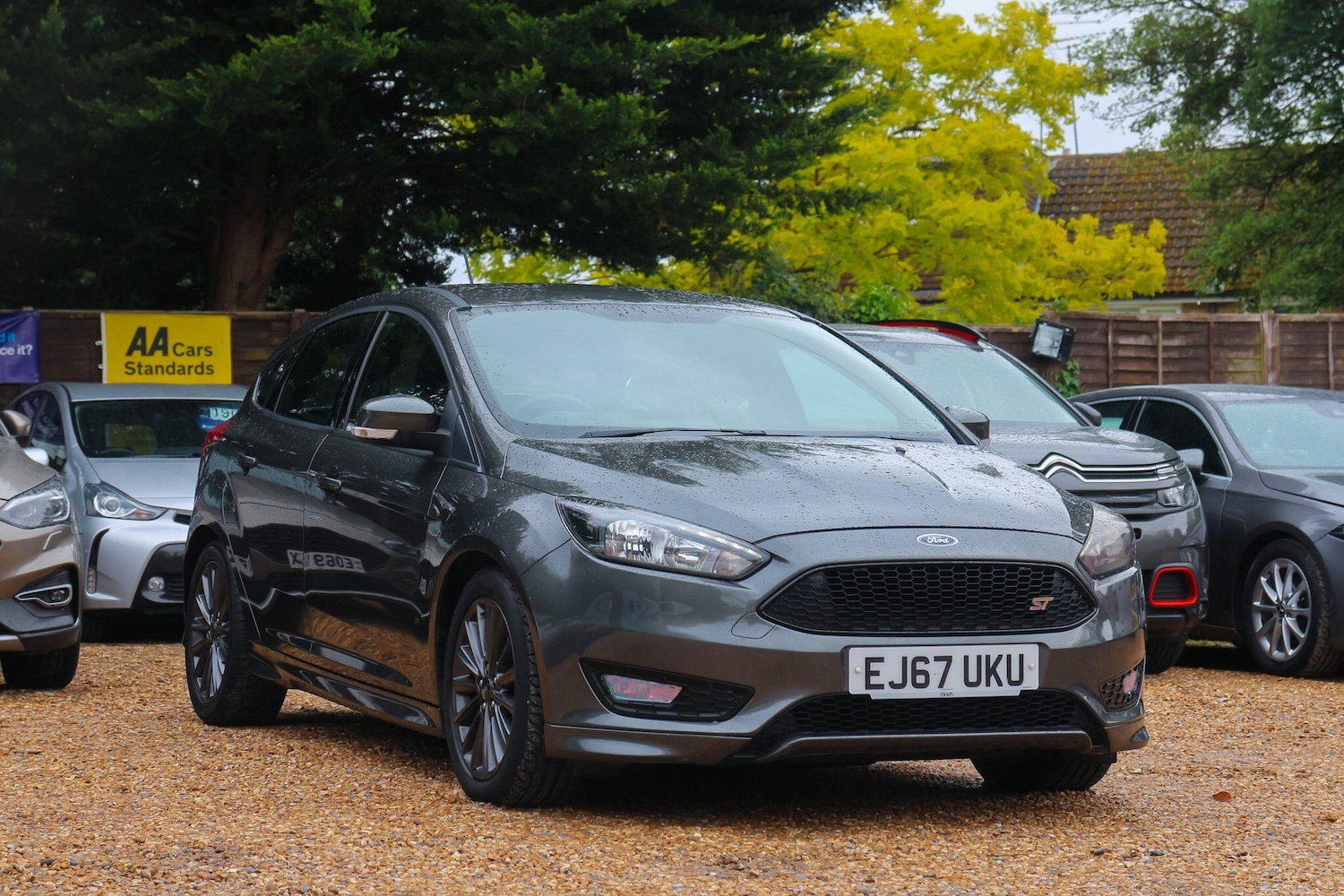 Used Ford Focus for sale - 77898504: Photo 11