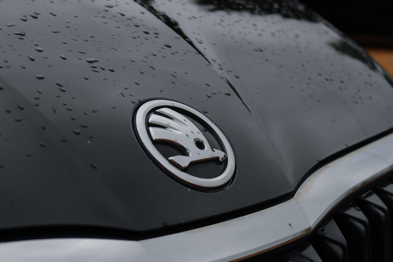 Used Skoda Octavia 2021 for sale - 76802268: Photo 13