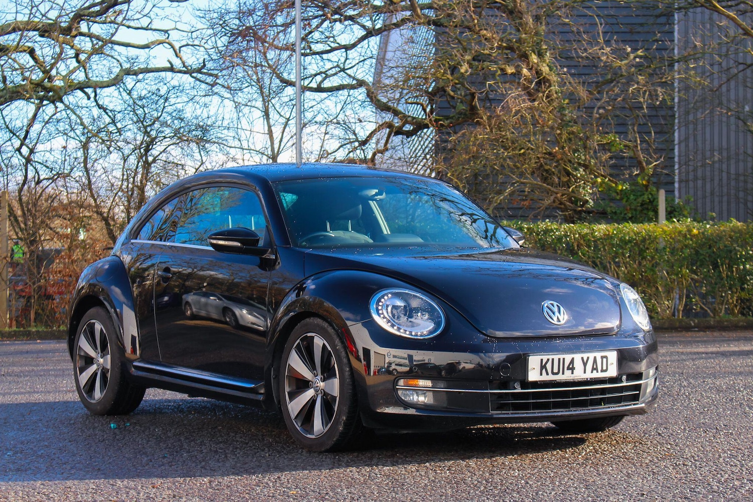 Used Volkswagen Beetle 2014 for sale - 77439662: Photo 11