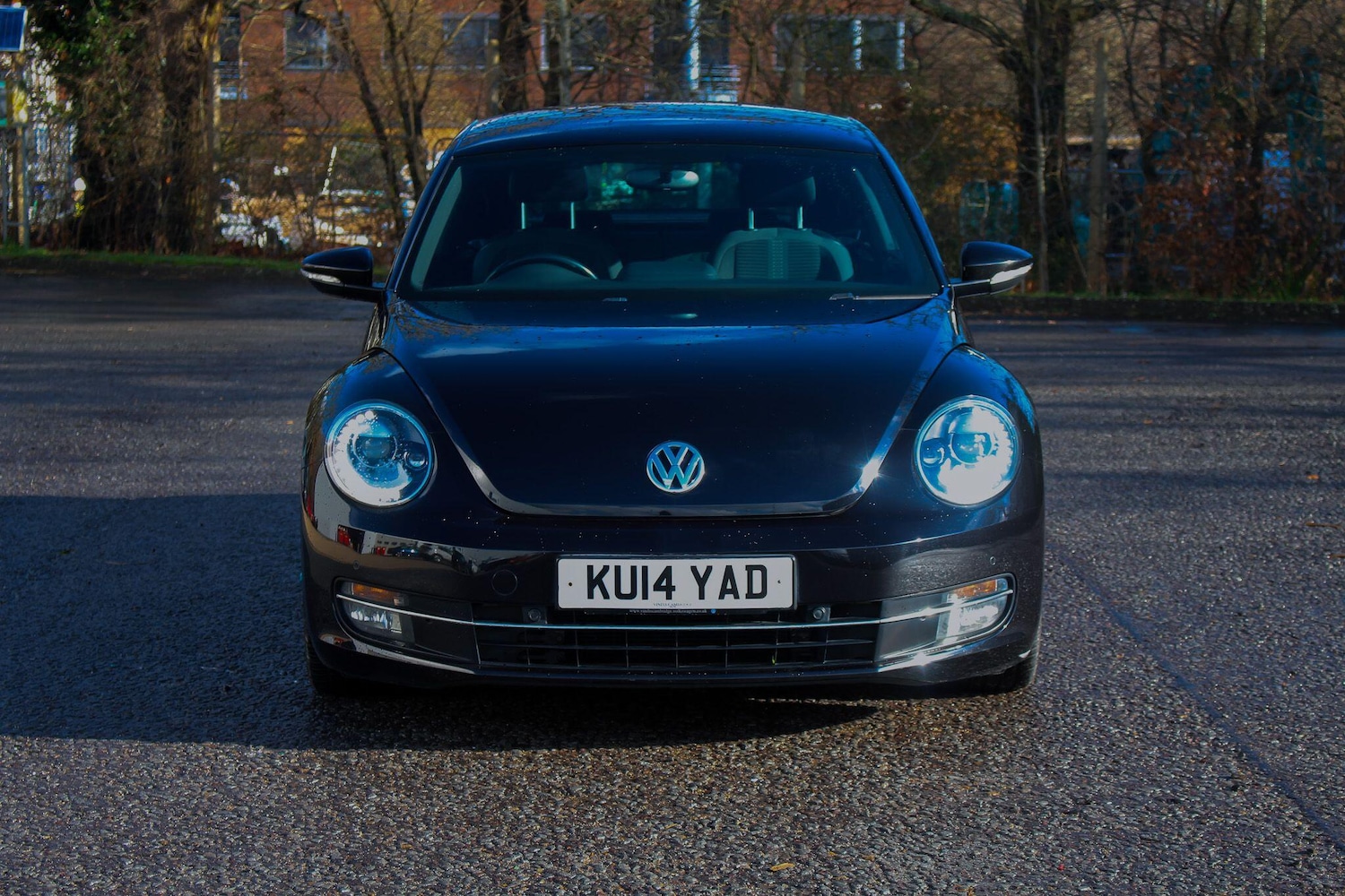 Used Volkswagen Beetle 2014 for sale - 77439662: Photo 12