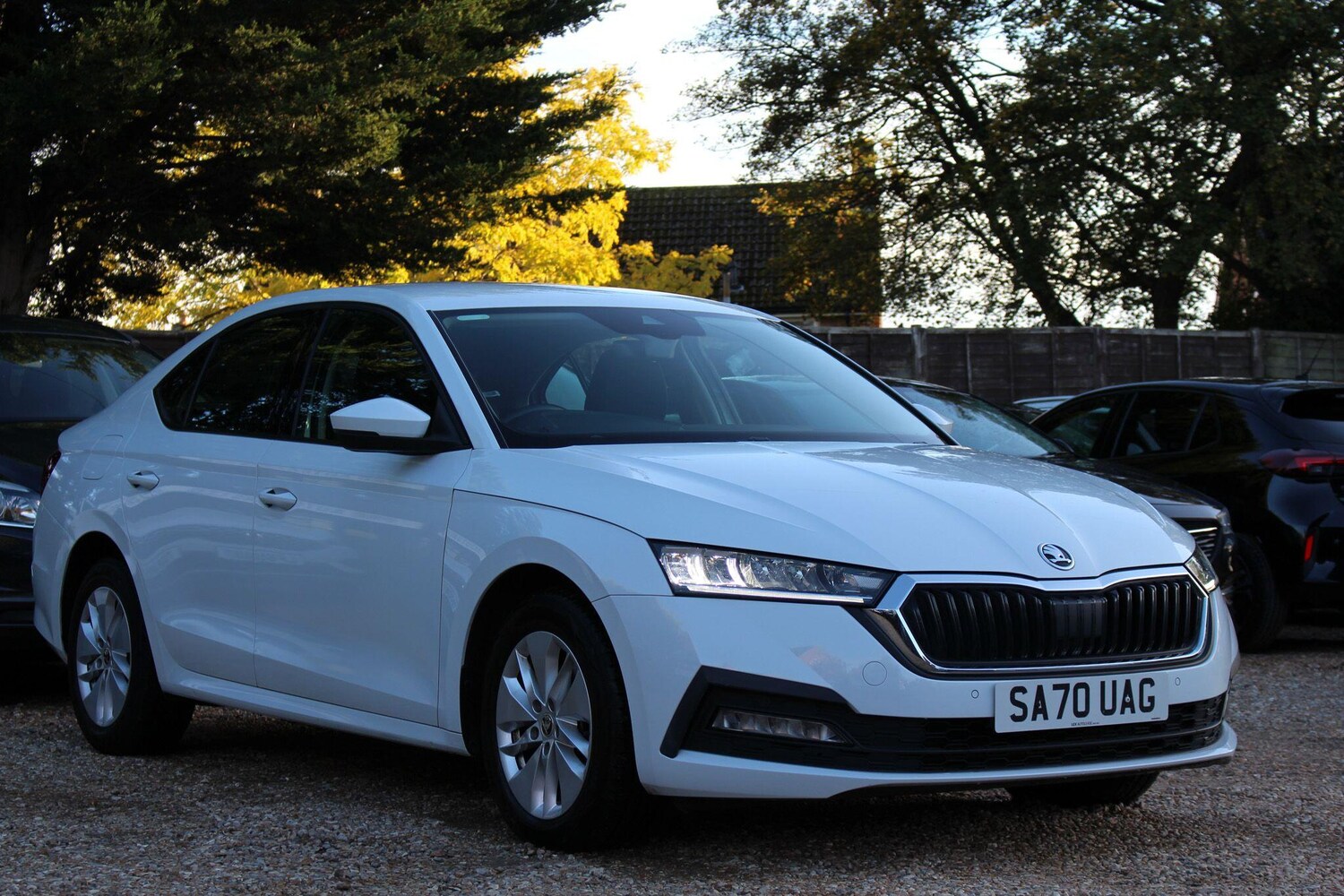 Used Skoda Octavia 2021 for sale - 76432875: Photo 11