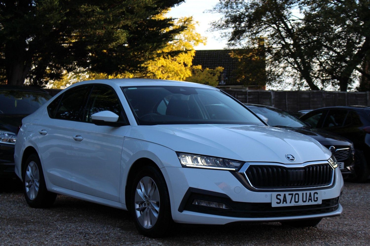 Used Skoda Octavia 2021 for sale - 76432875: Photo 12