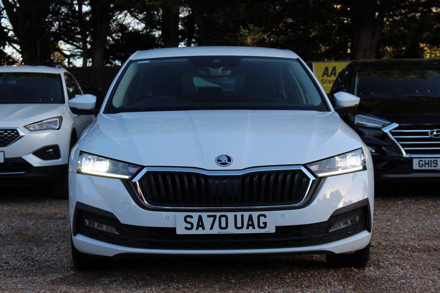 Used Skoda Octavia 2021 for sale - 76432875: Photo 14