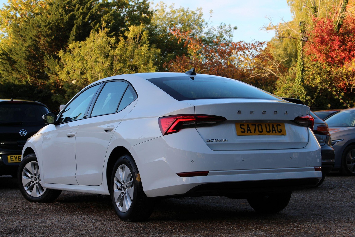 Used Skoda Octavia 2021 for sale - 76432875: Photo 3