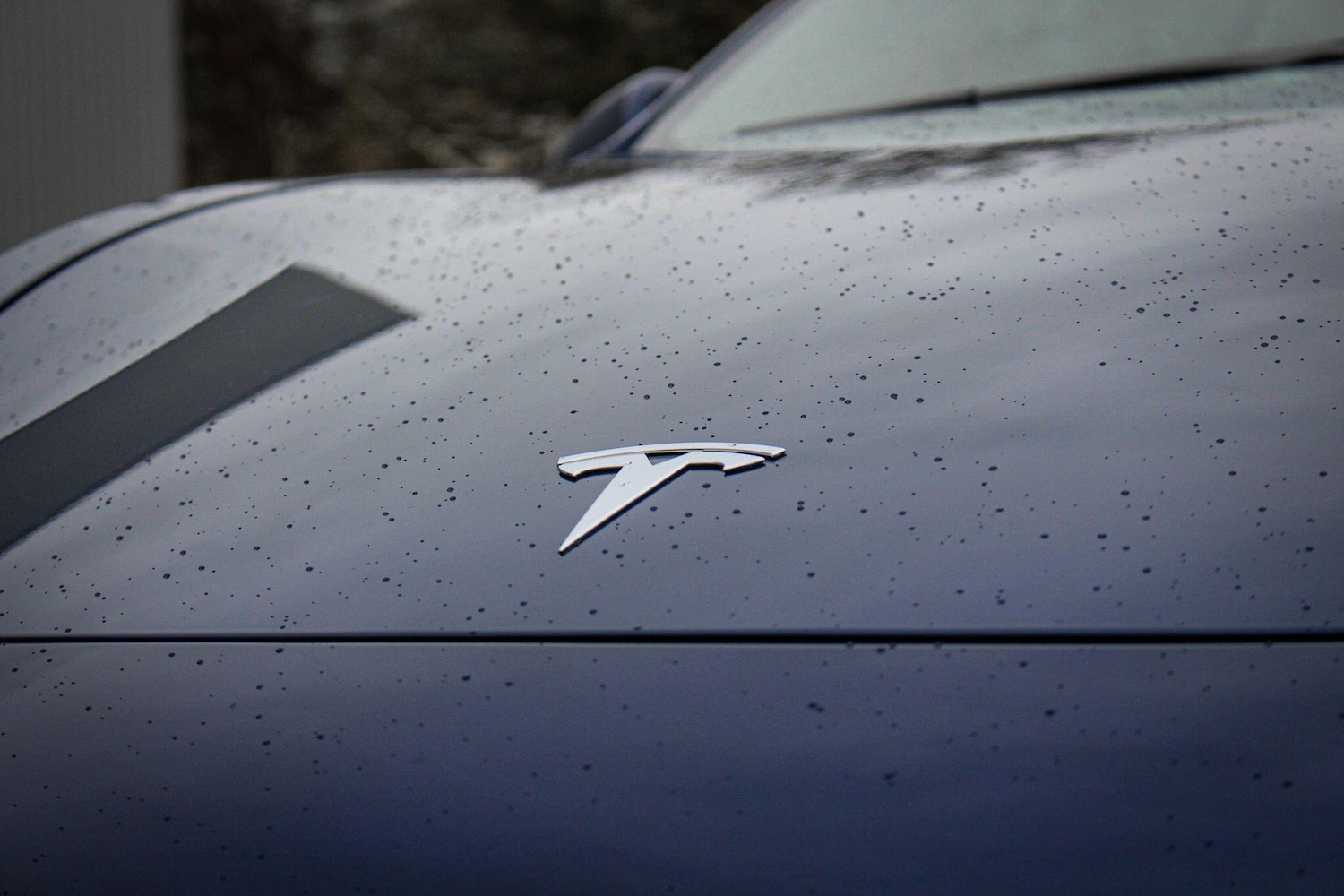 Used Tesla Model 3 2021 for sale - 77424614: Photo 22