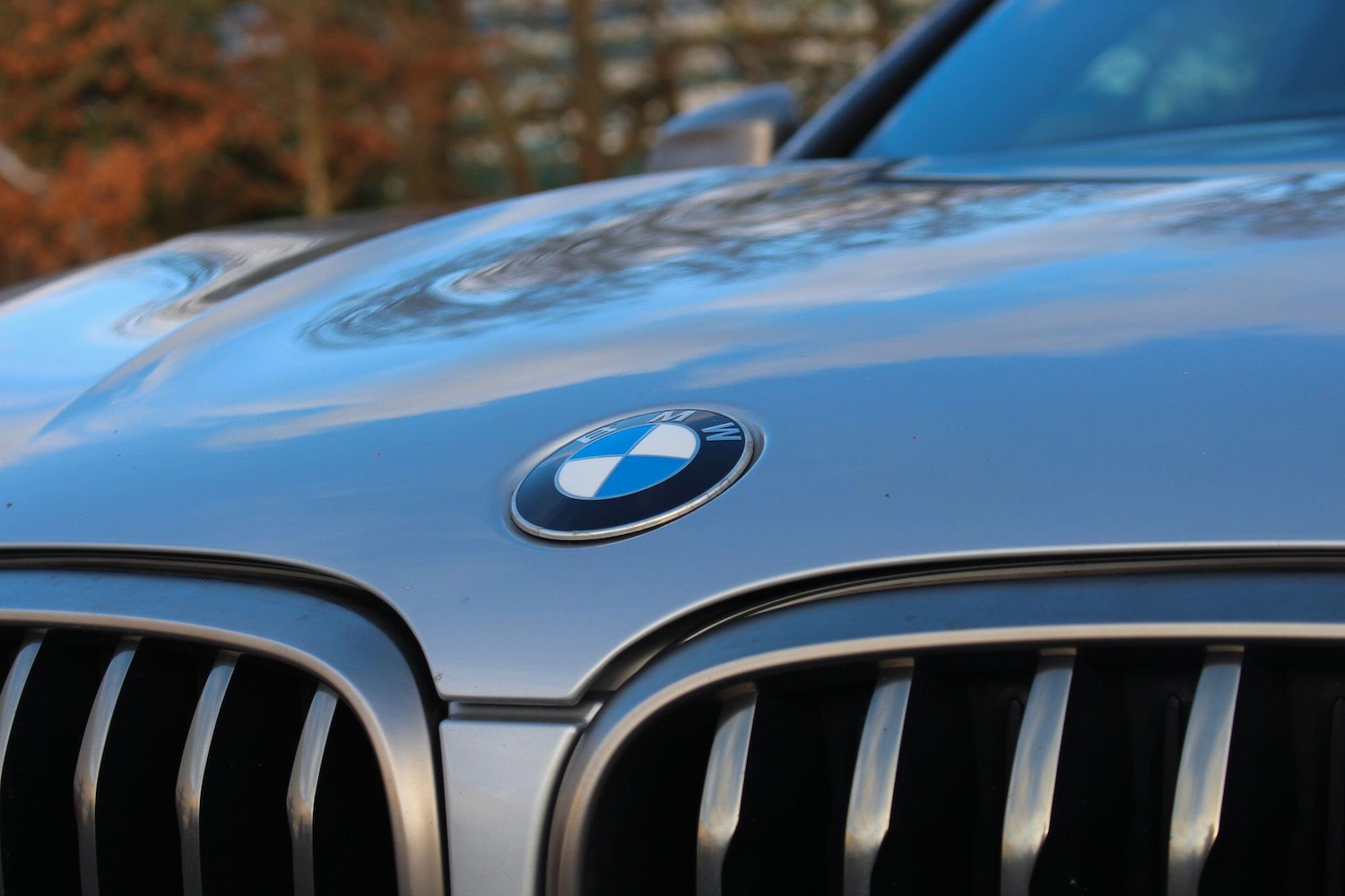 Used BMW X4 2019 for sale - 77267578: Photo 23