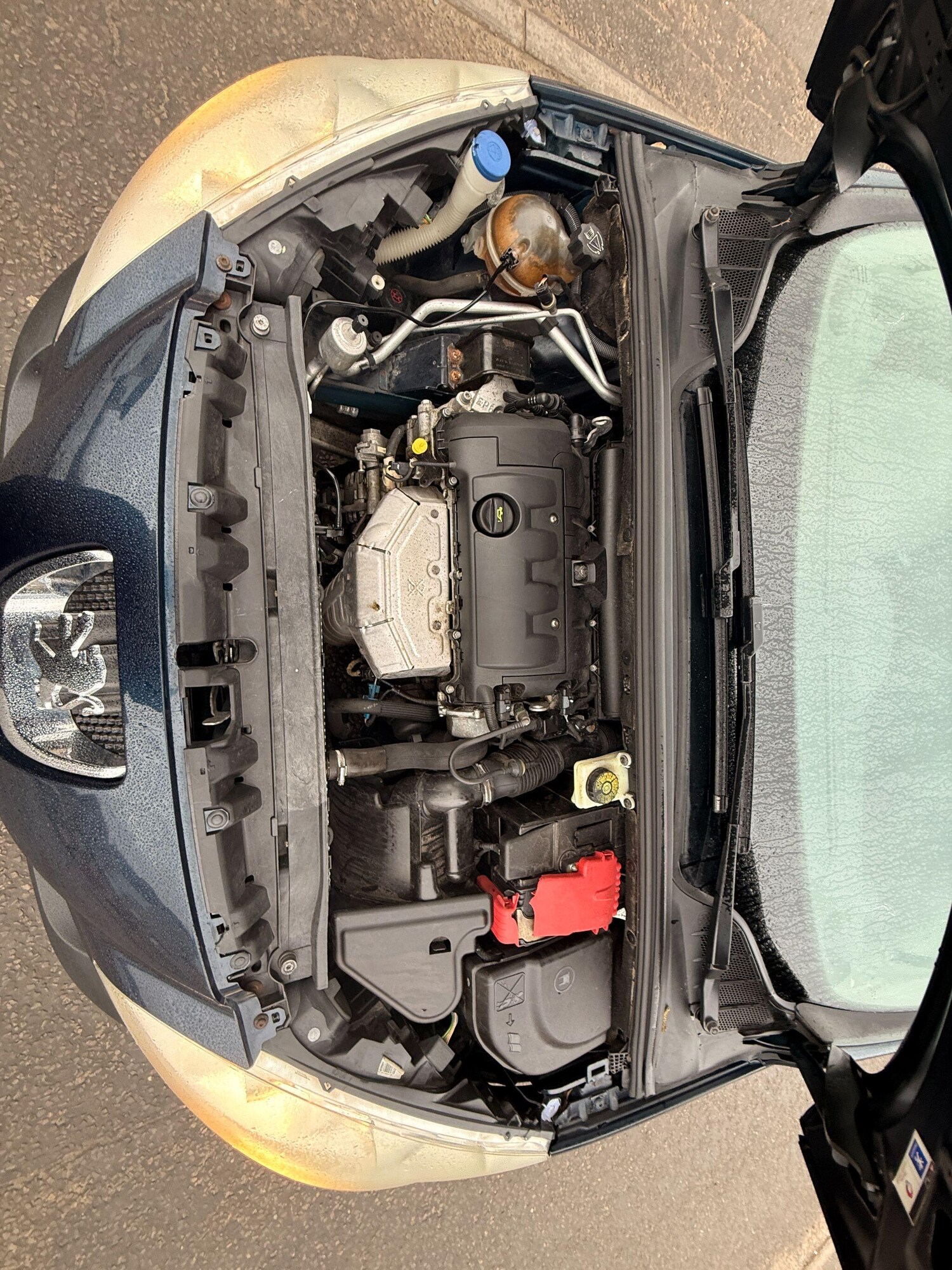 Used Peugeot 308 for sale - 77854337: Photo 62