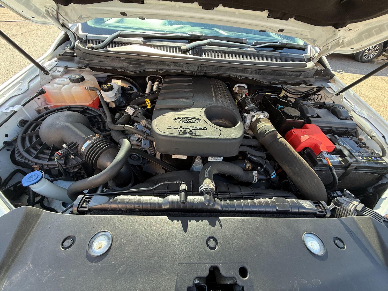 Used Ford Ranger for sale - 78115864: Photo 6