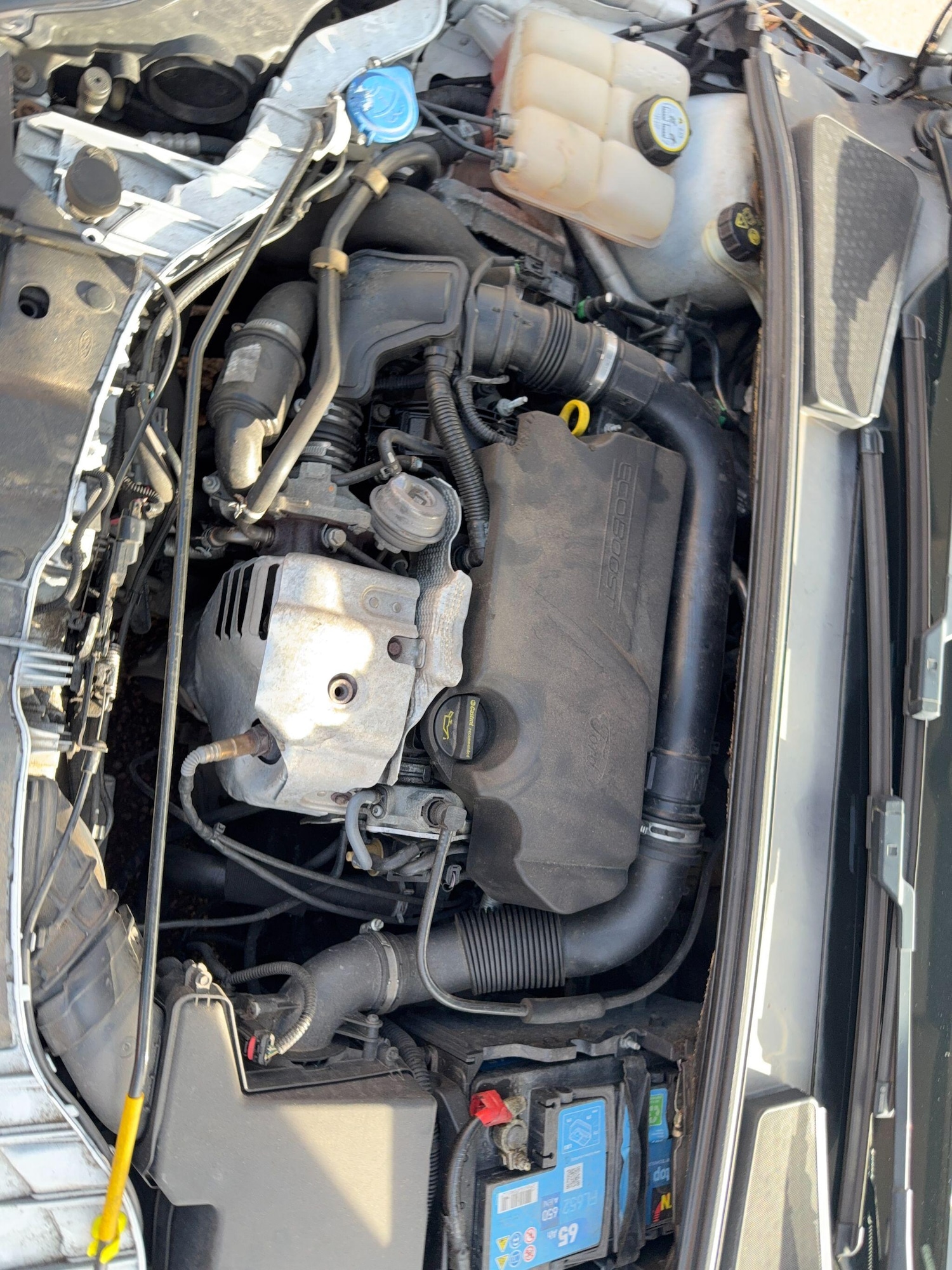 Used Ford Focus for sale - 78215131: Photo 51