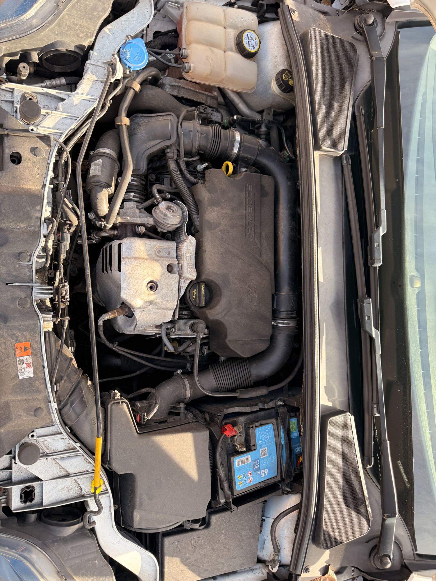 Used Ford Focus for sale - 78215131: Photo 52