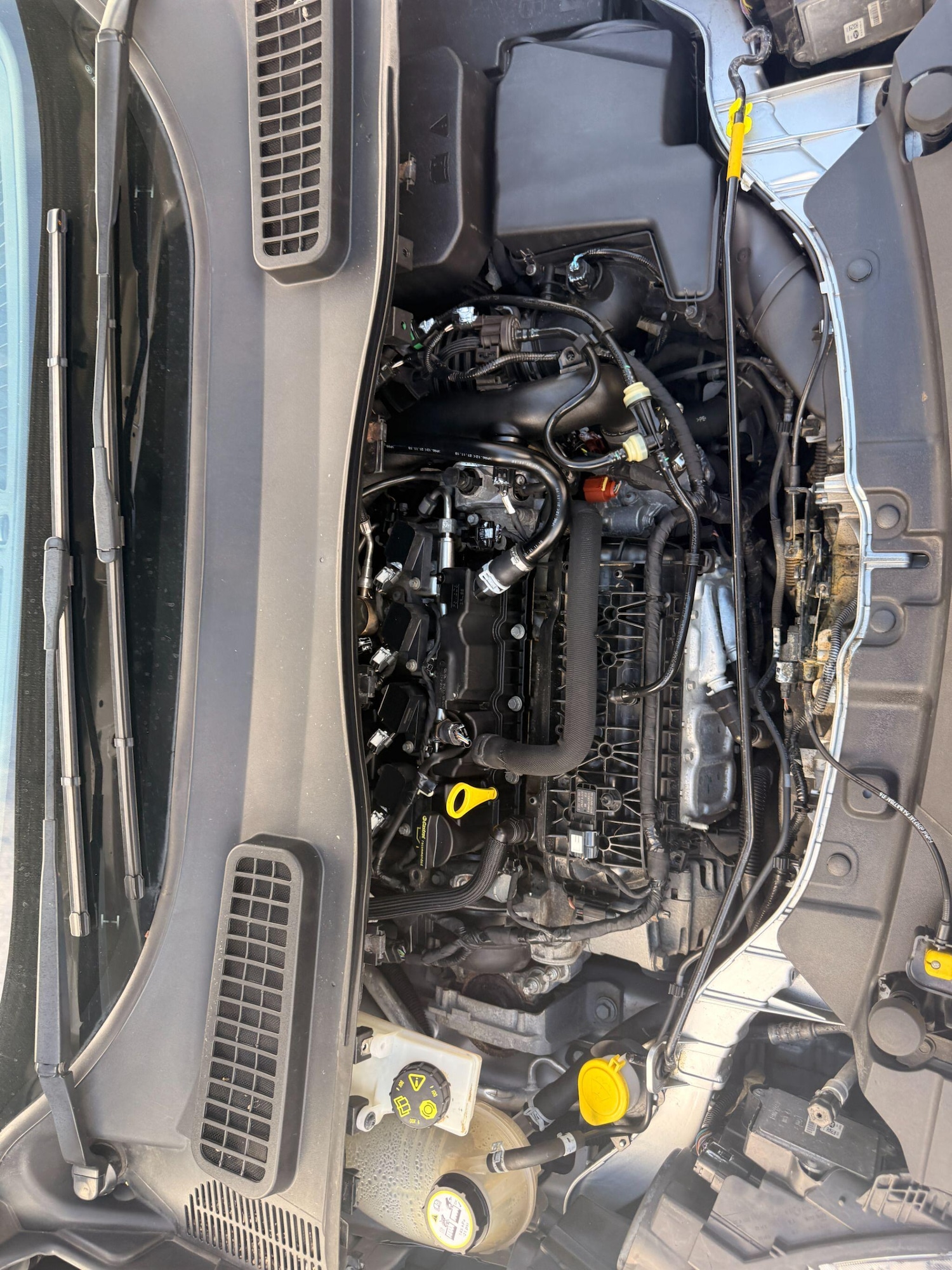 Used Ford Kuga 2019 for sale - 78034362: Photo 64