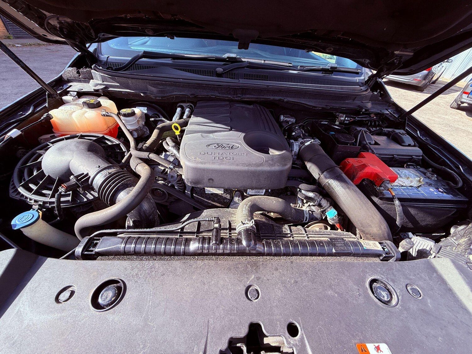 Used Ford Ranger for sale - 77892377: Photo 53